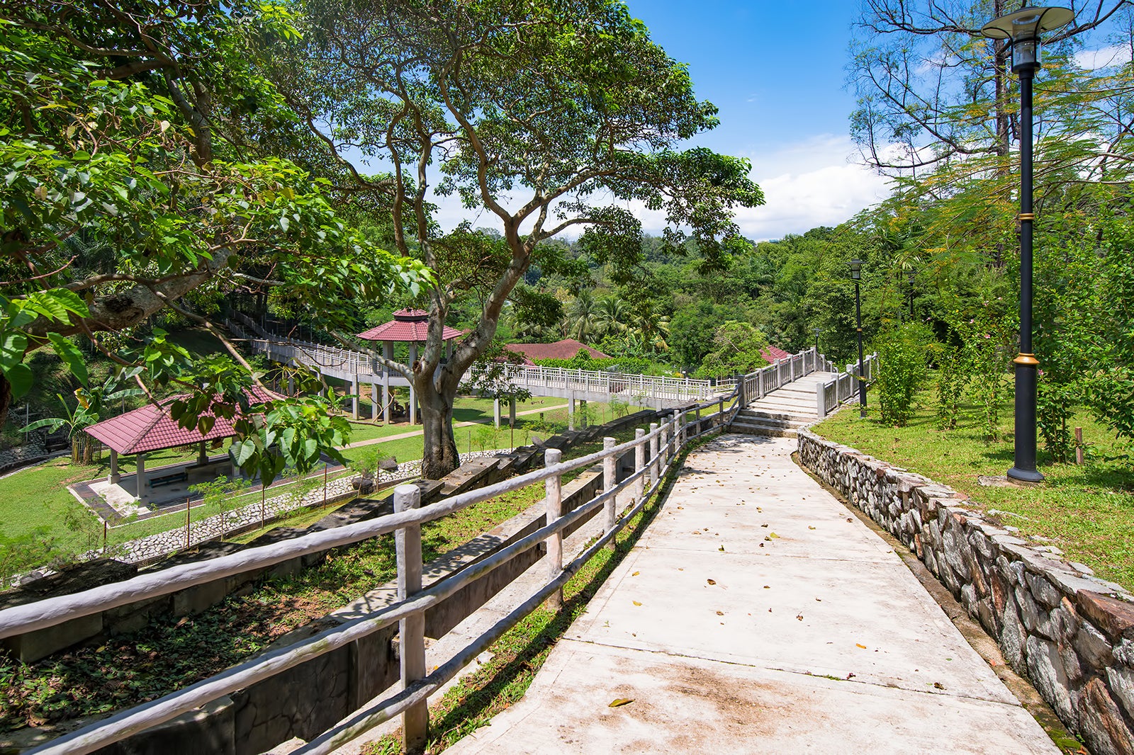 باغ گیاه شناسی پردانا - Perdana Botanical Garden