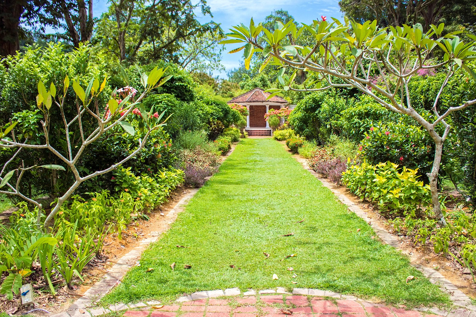 باغ گیاه شناسی پنانگ - Penang Botanic Gardens