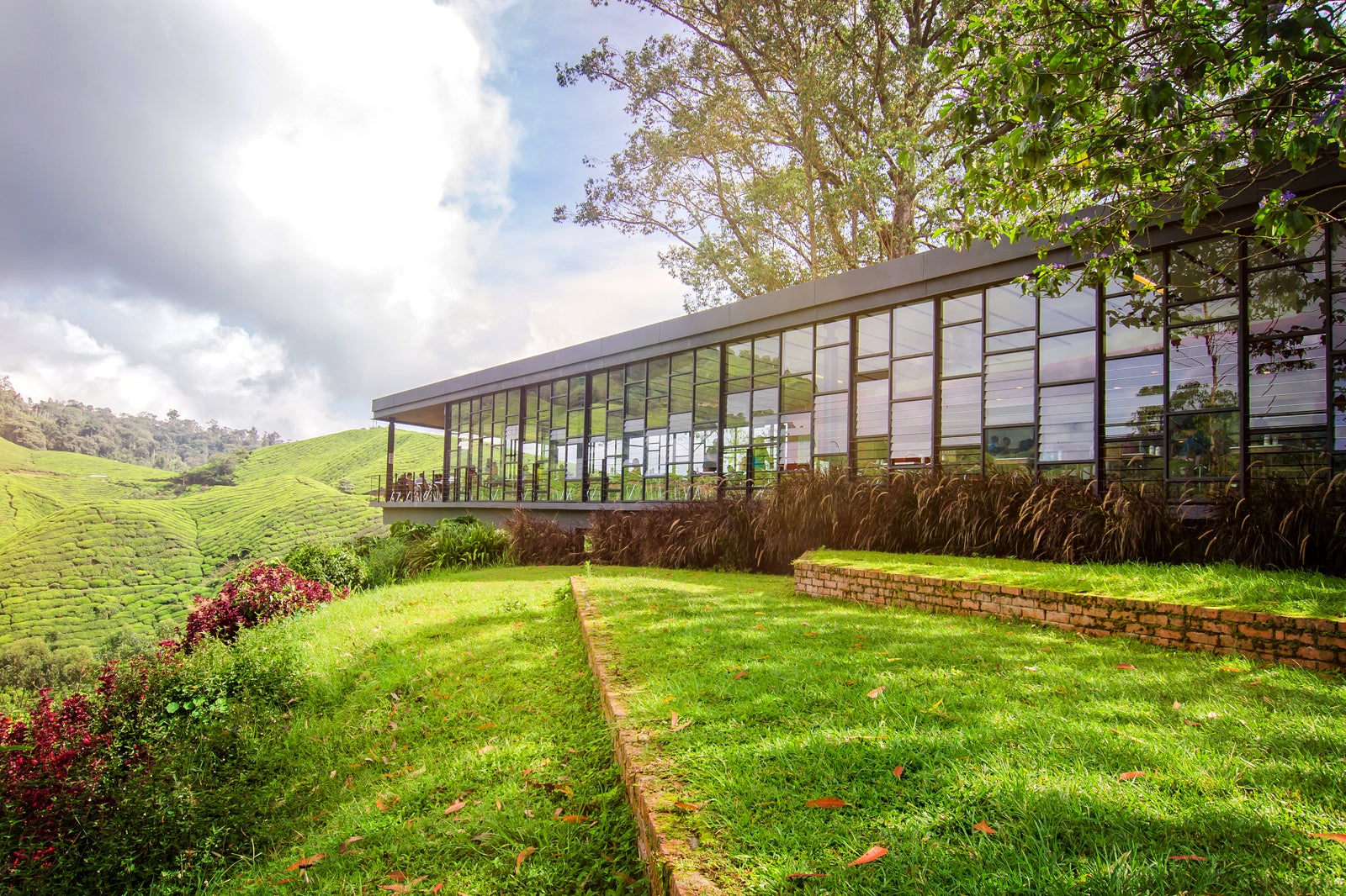 مرکز چای BOH Sungai Palas - BOH Sungai Palas Tea Center