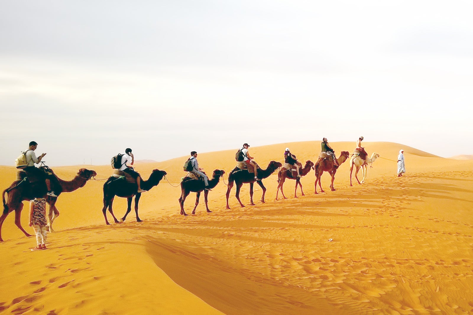 شتر سواری - Camel rides