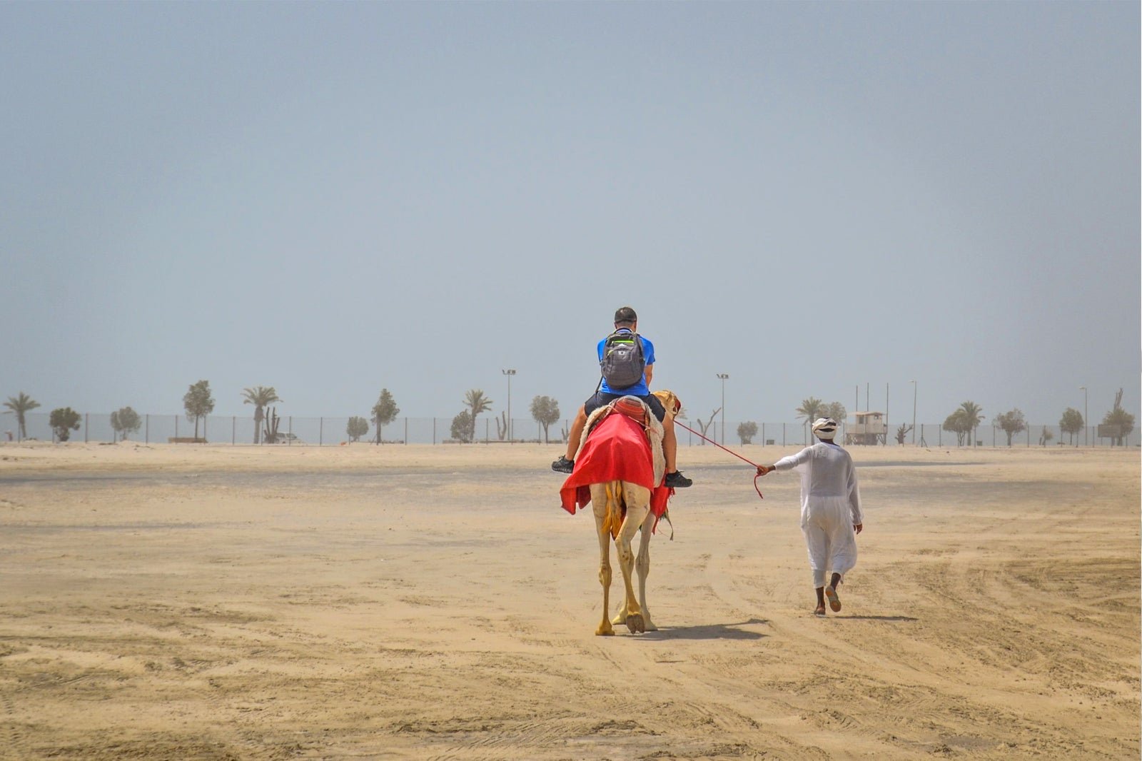 دوحه: سافاری، شتر سواری، سندبرد - Doha: Safari, Camel Ride, Sandboarding & Inland Sea