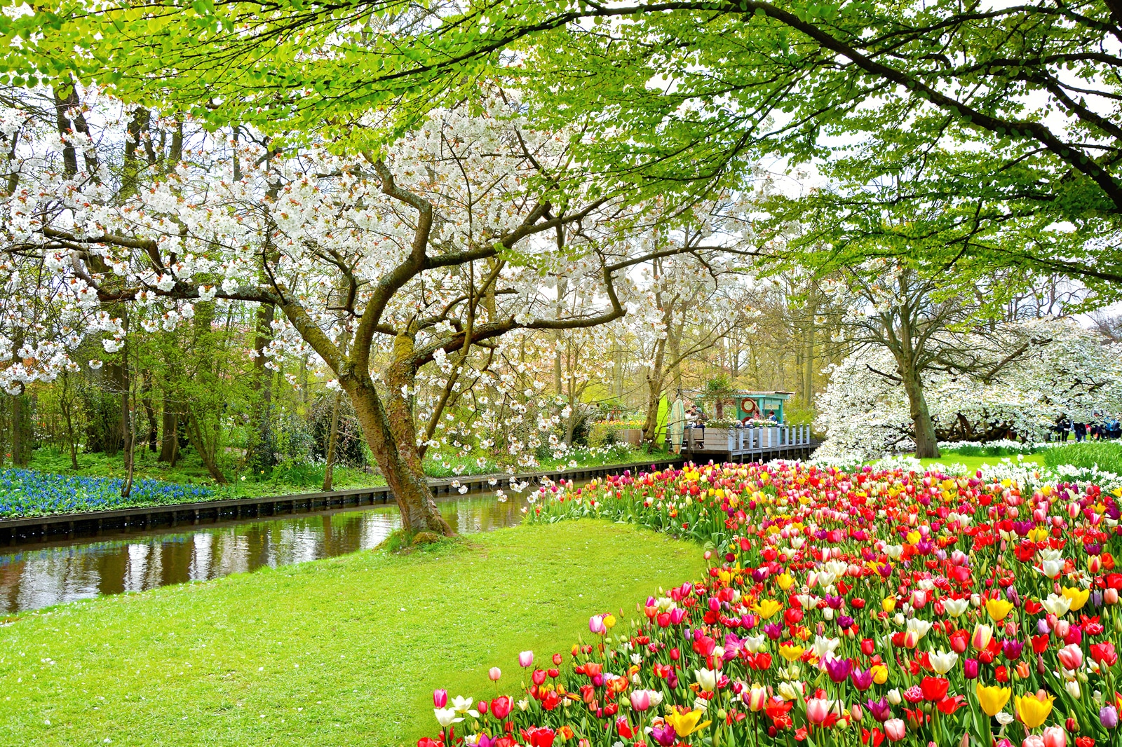 باغ های کوکنهوف - Keukenhof Gardens