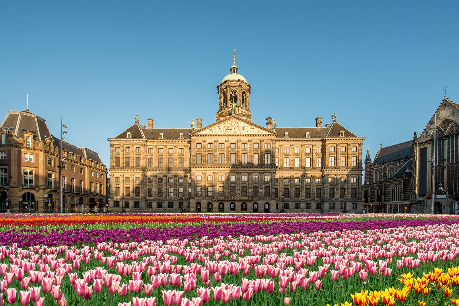 روز ملی لاله ها - National Tulip Day