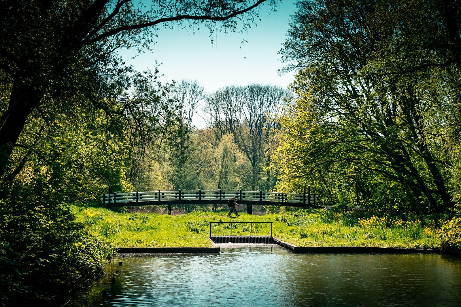جنگل آمستردام - Amsterdamse Bos