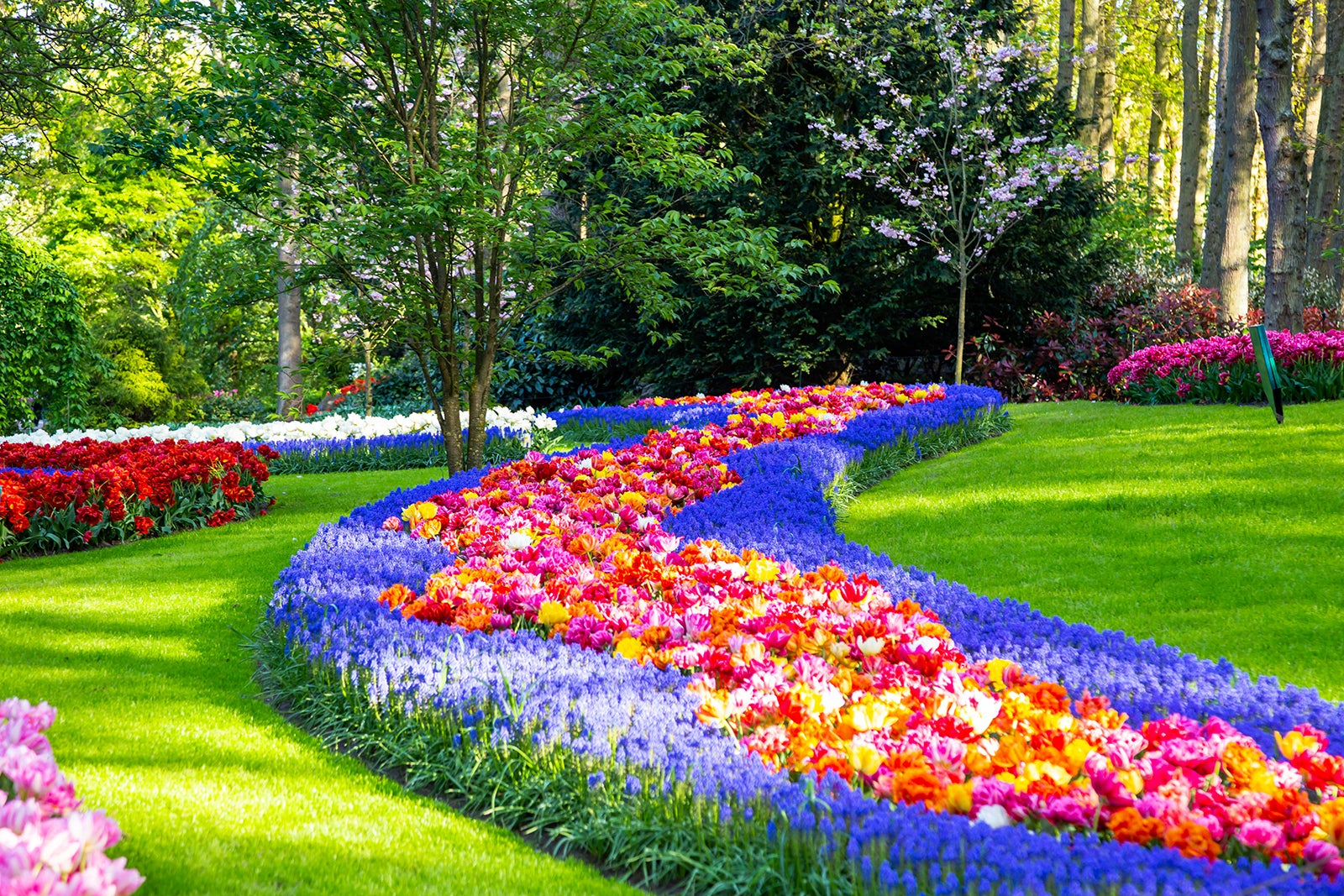 باغ های کوکنهوف - Keukenhof Gardens