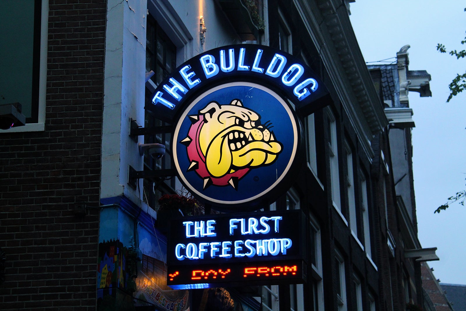 بولداگ اولین - The Bulldog The First