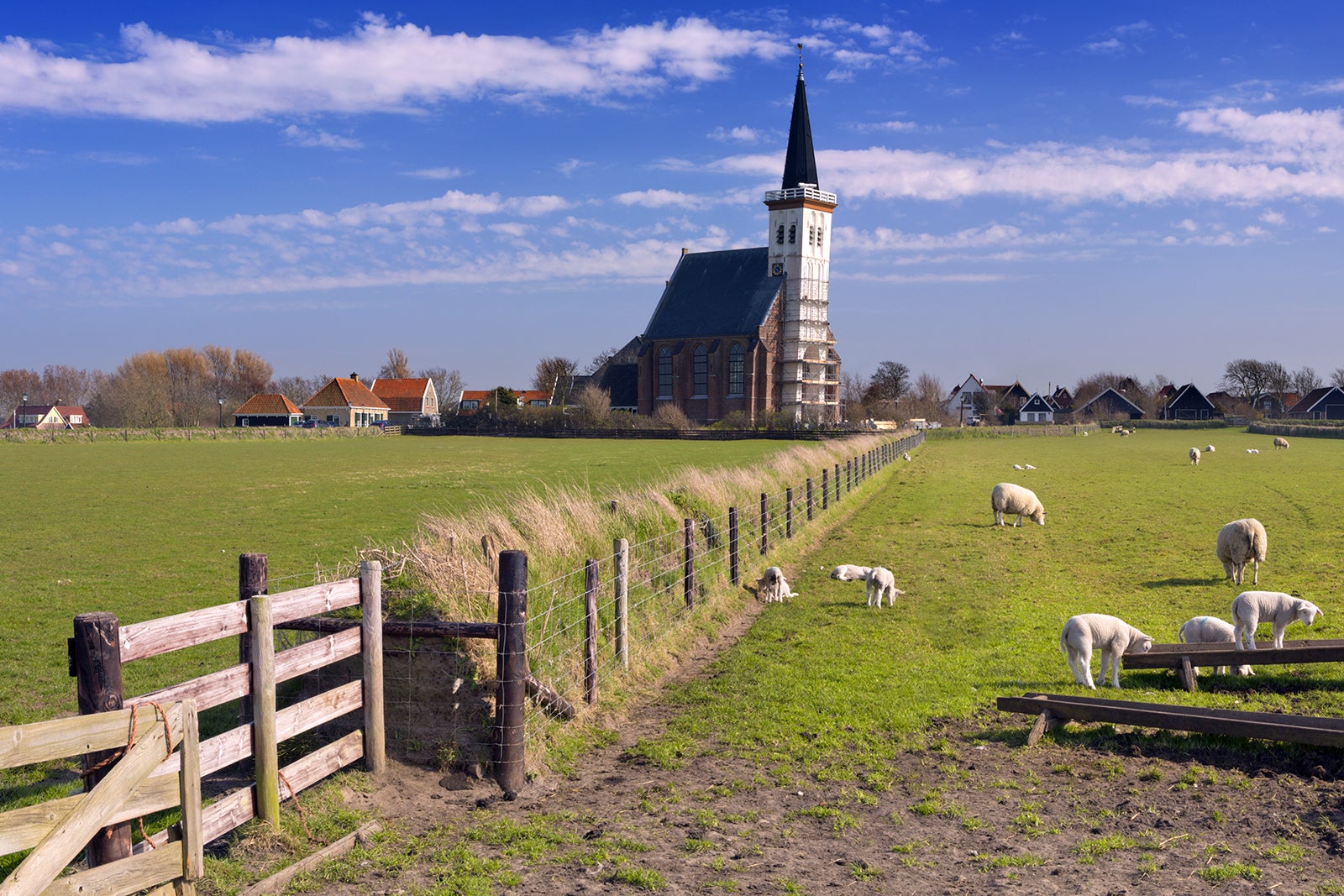 جزیره تکل - Texel Island