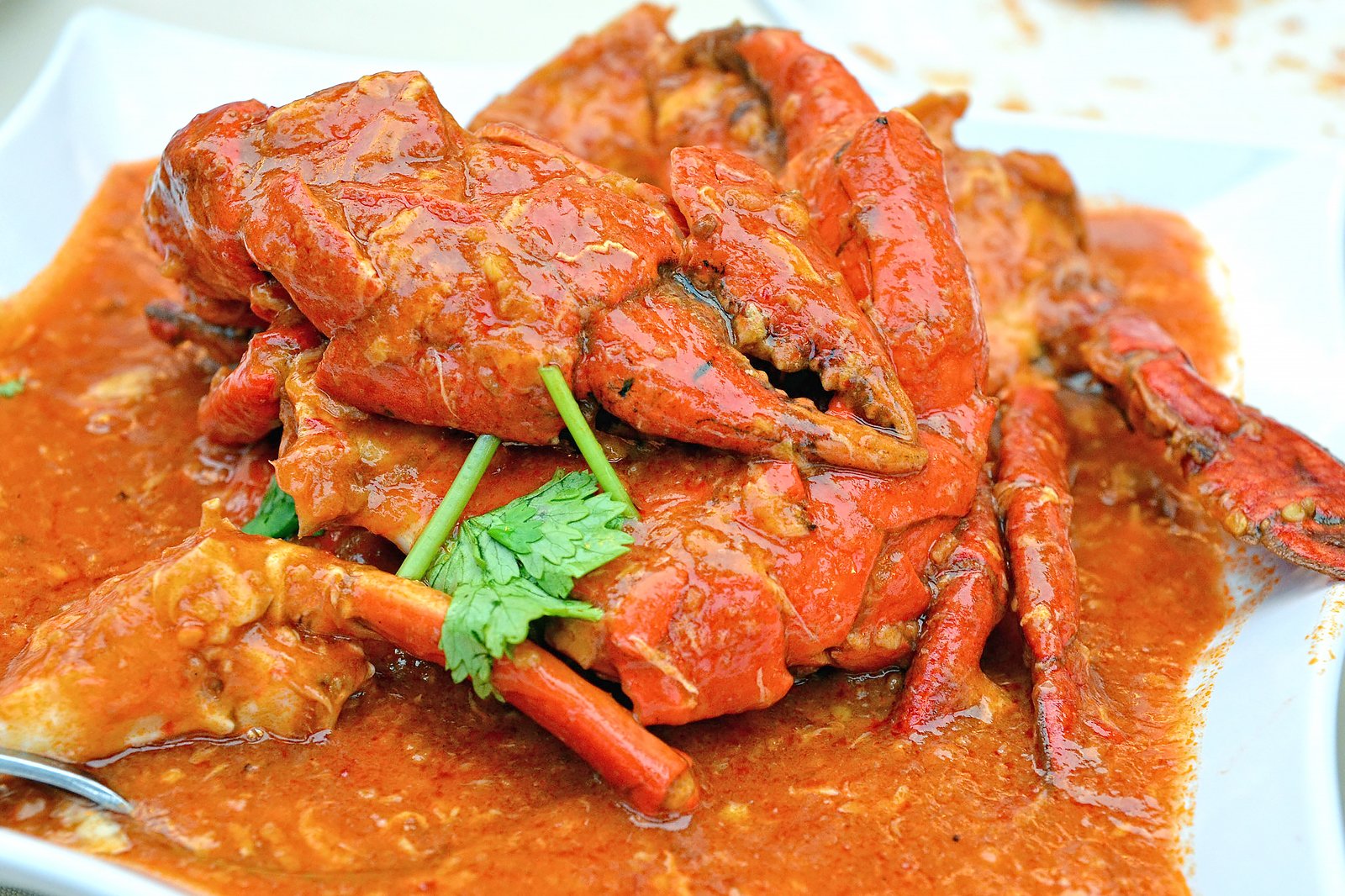 خرچنگ فلفلی - Chilli crab