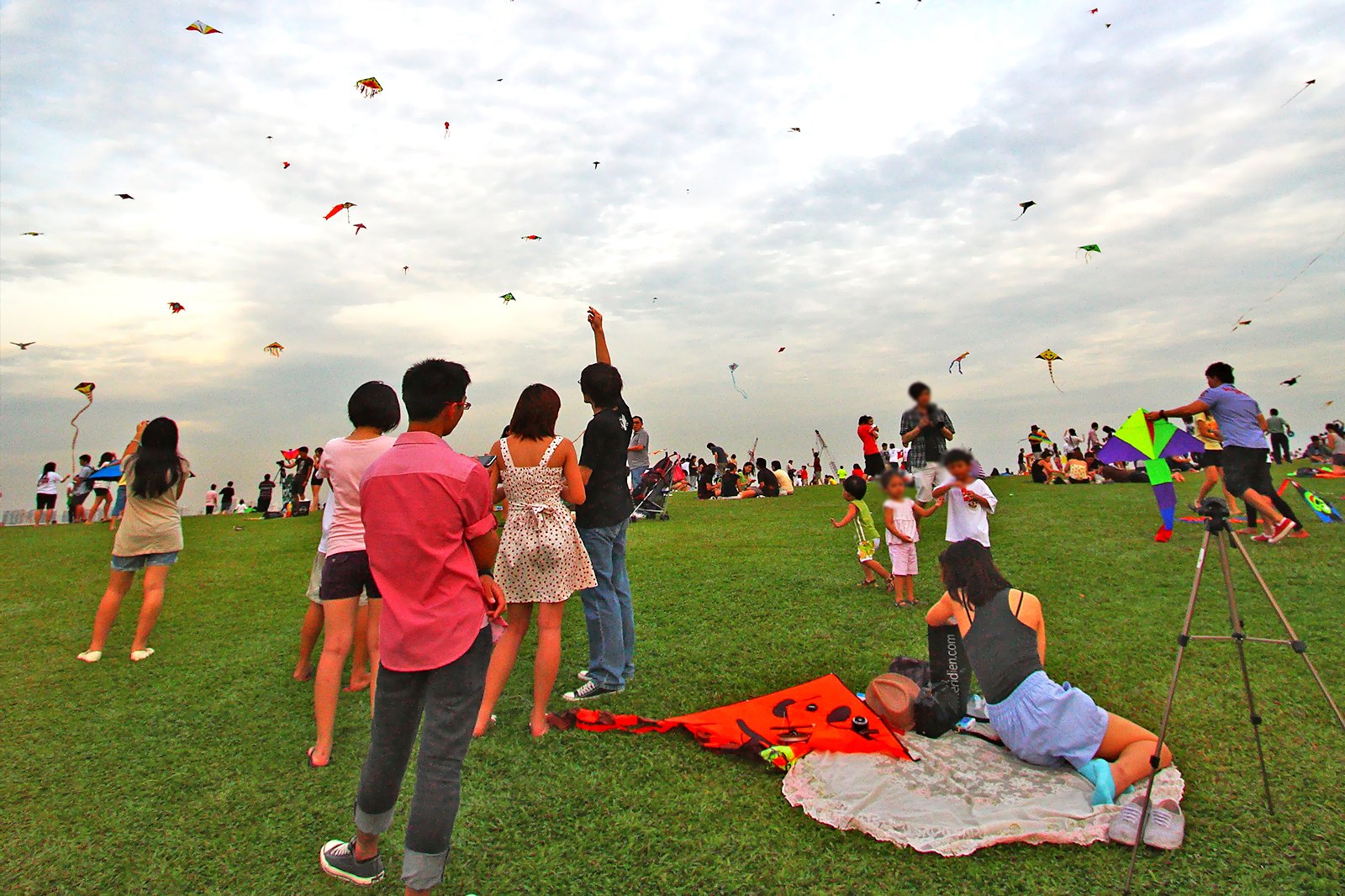 بادبادک در مارینا باراژ پرواز کنید - Fly a kite at Marina Barrage