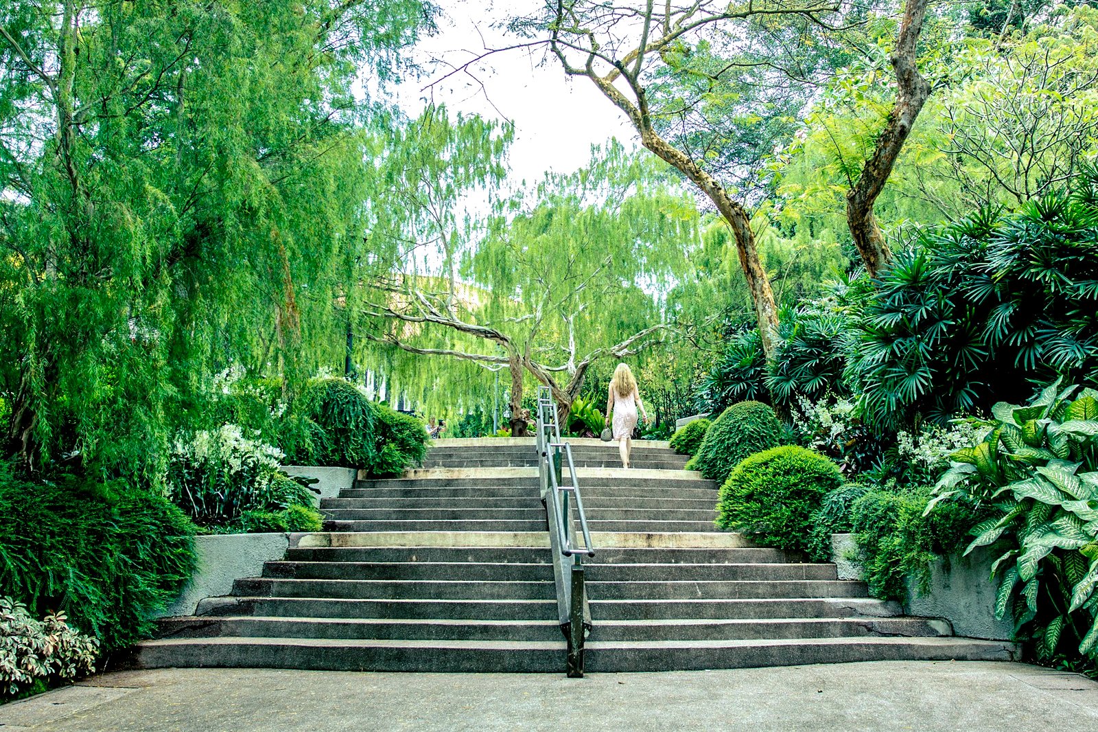 در باغ گیاه شناسی سنگاپور سبز شوید - Go green at the Singapore Botanic Gardens