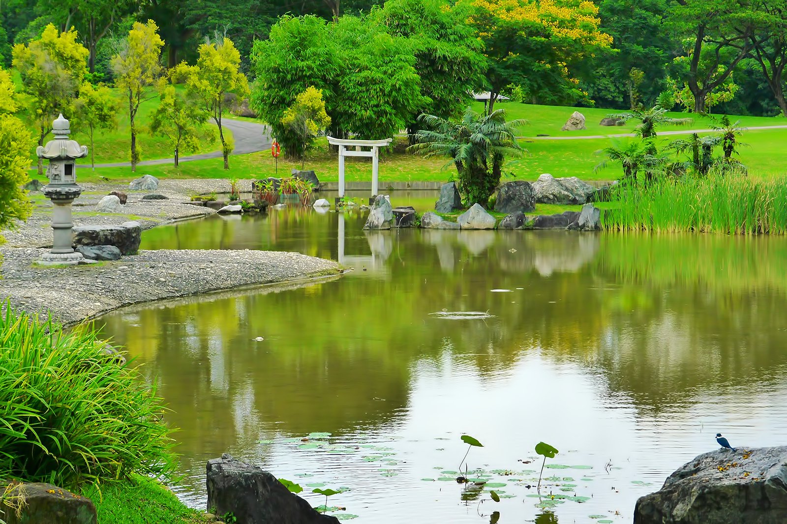 باغ های چینی و ژاپنی - Chinese and Japanese Gardens