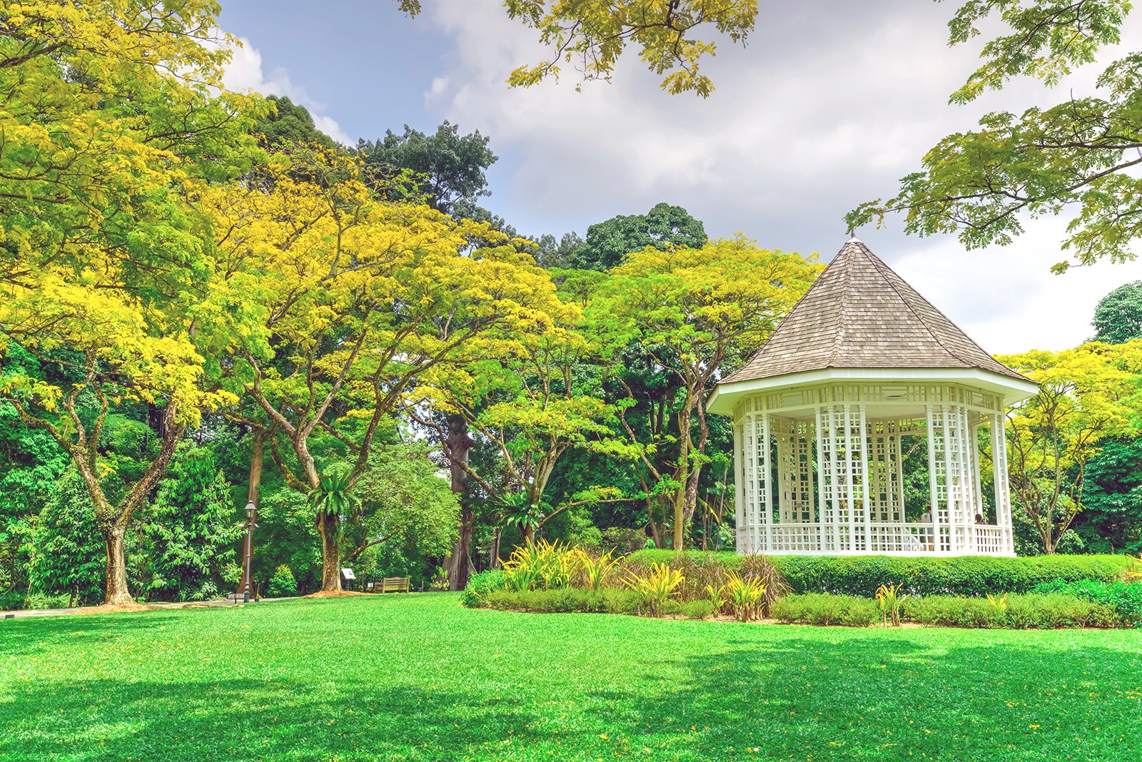 باغ گیاه شناسی سنگاپور - Singapore Botanic Gardens