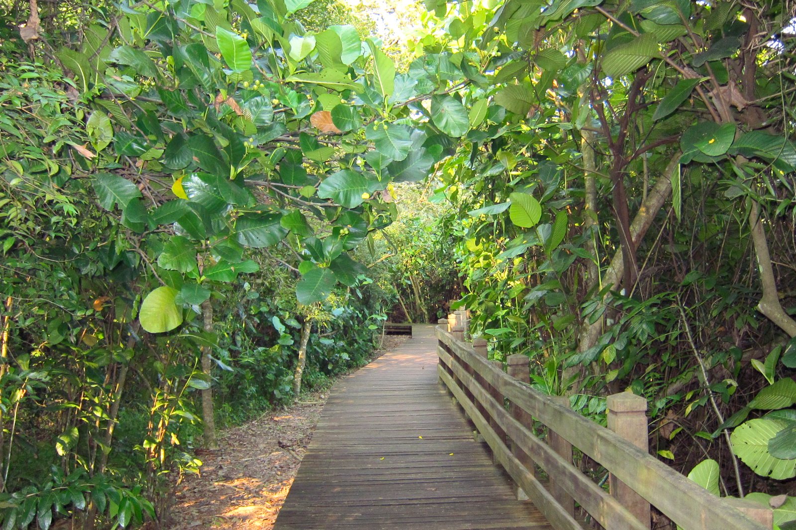 پارک طبیعی سونگی بولو - Sungei Buloh Nature Park