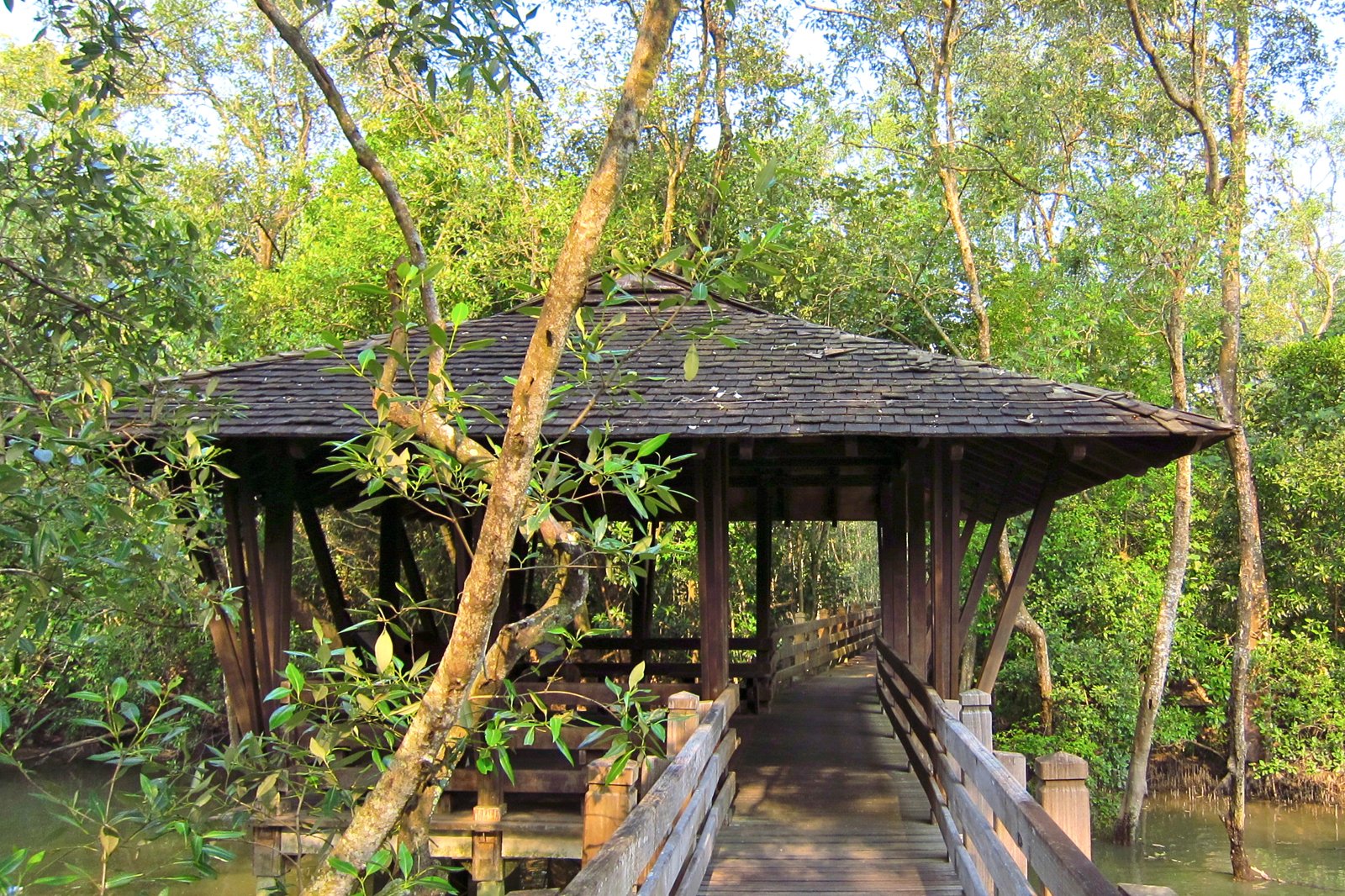 ذخیره گاه تالاب سونگی بولو - Sungei Buloh Wetland Reserve