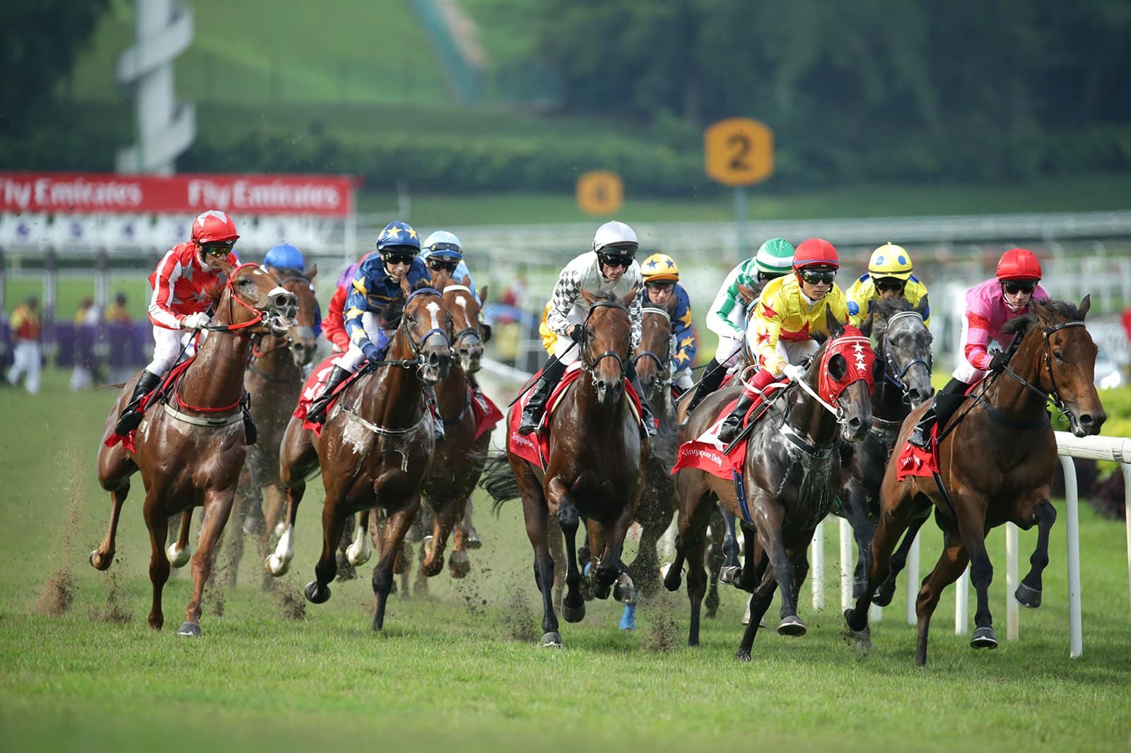 باشگاه چمن سنگاپور - The Singapore Turf Club