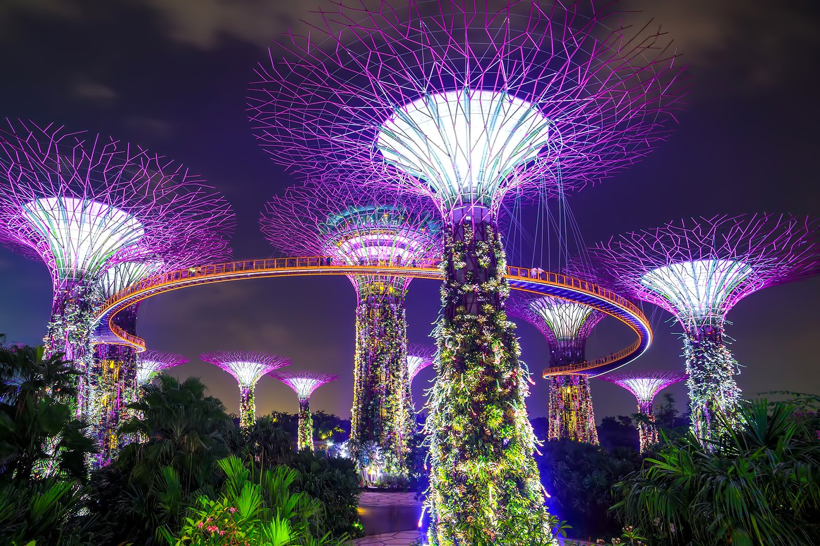 باغ‌های کنار خلیج، مارینا بی سندز - Gardens by the Bay, Marina Bay Sands & River Cruise Tour