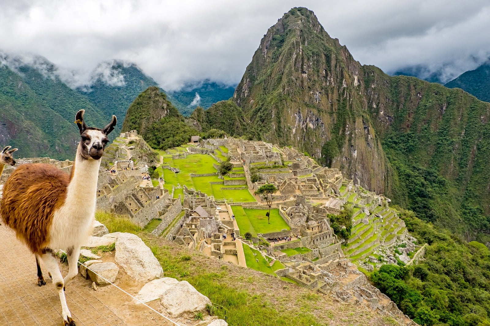 ماچو پیچو - Machu Picchu