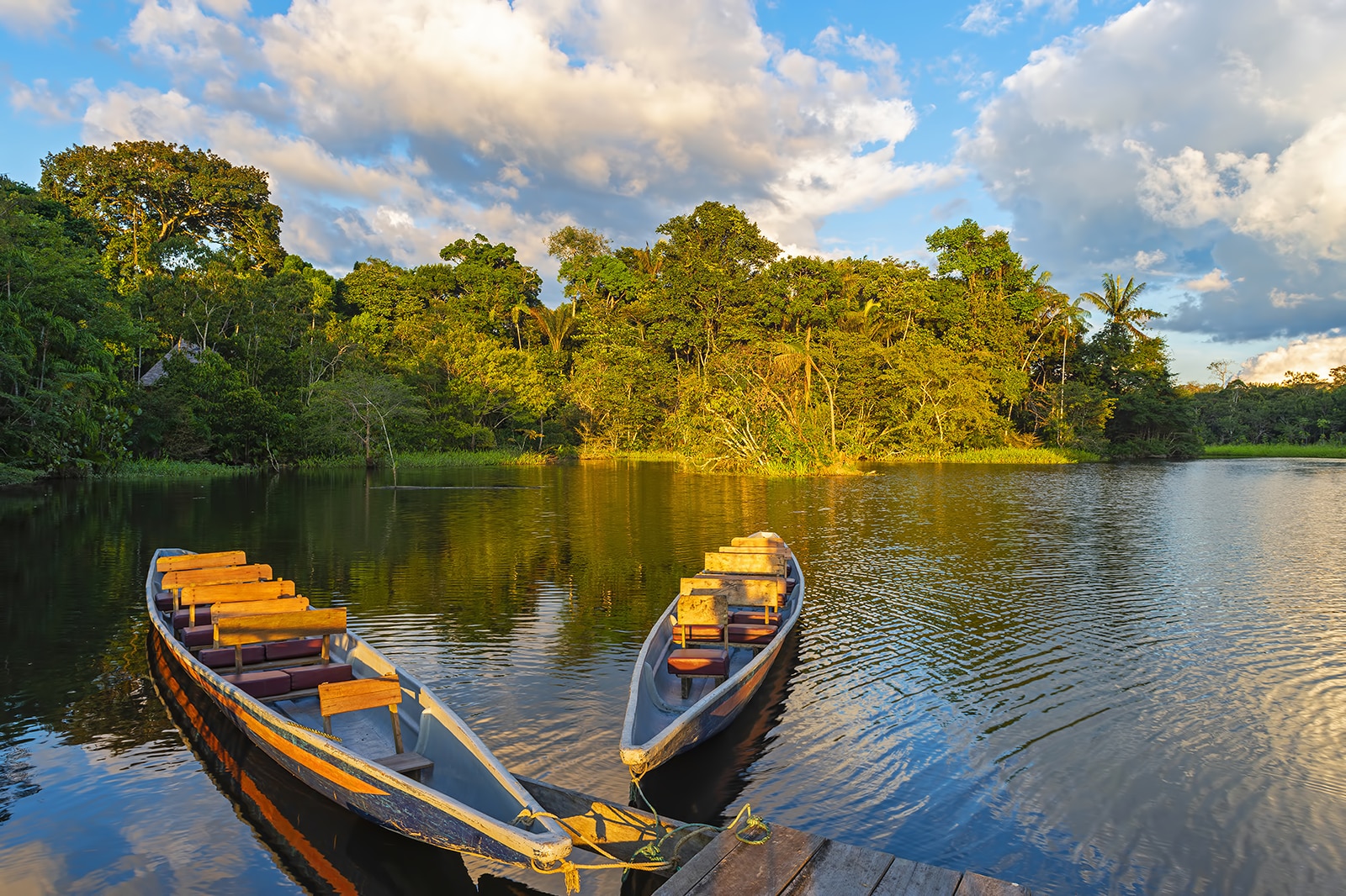 آمازونای پرو - Peruvian Amazonia