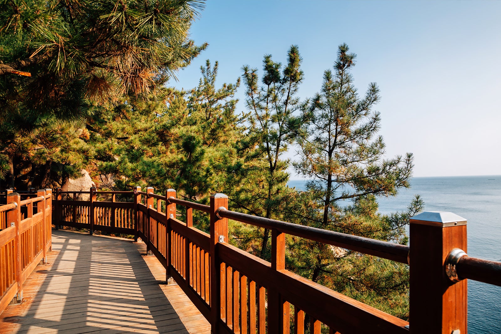 مسیر Oeongchi Bada Hyangiro - Oeongchi Bada Hyangiro Trail