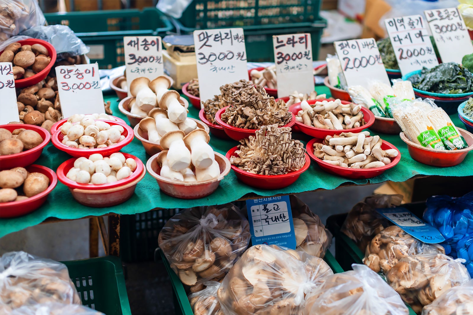 بازار سنتی یانگ یانگ - Yangyang Traditional Market (양양전통시장)