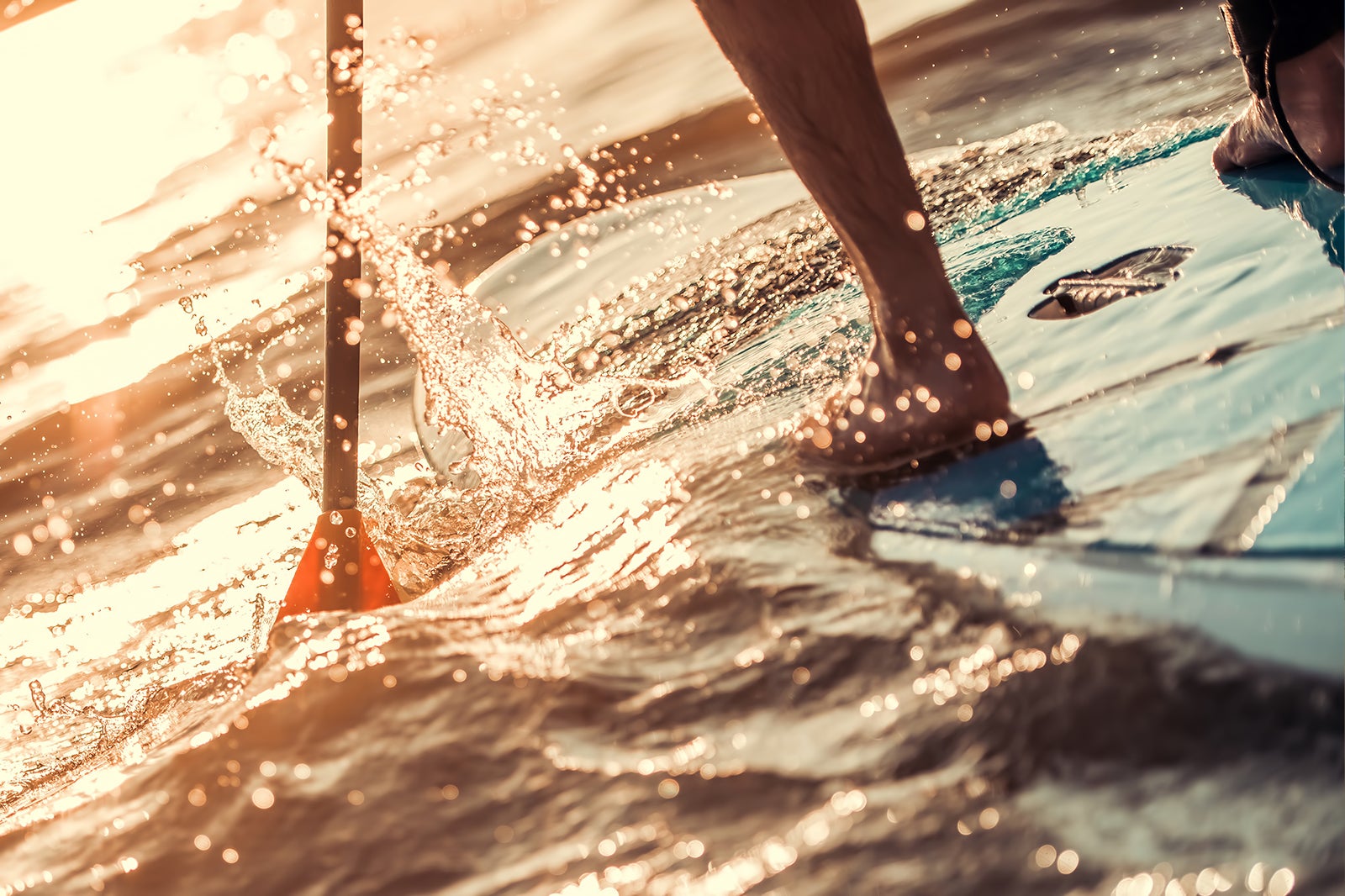 پارویی ایستاده در ساحل Surfyy - Stand-up paddleboarding at Surfyy Beach