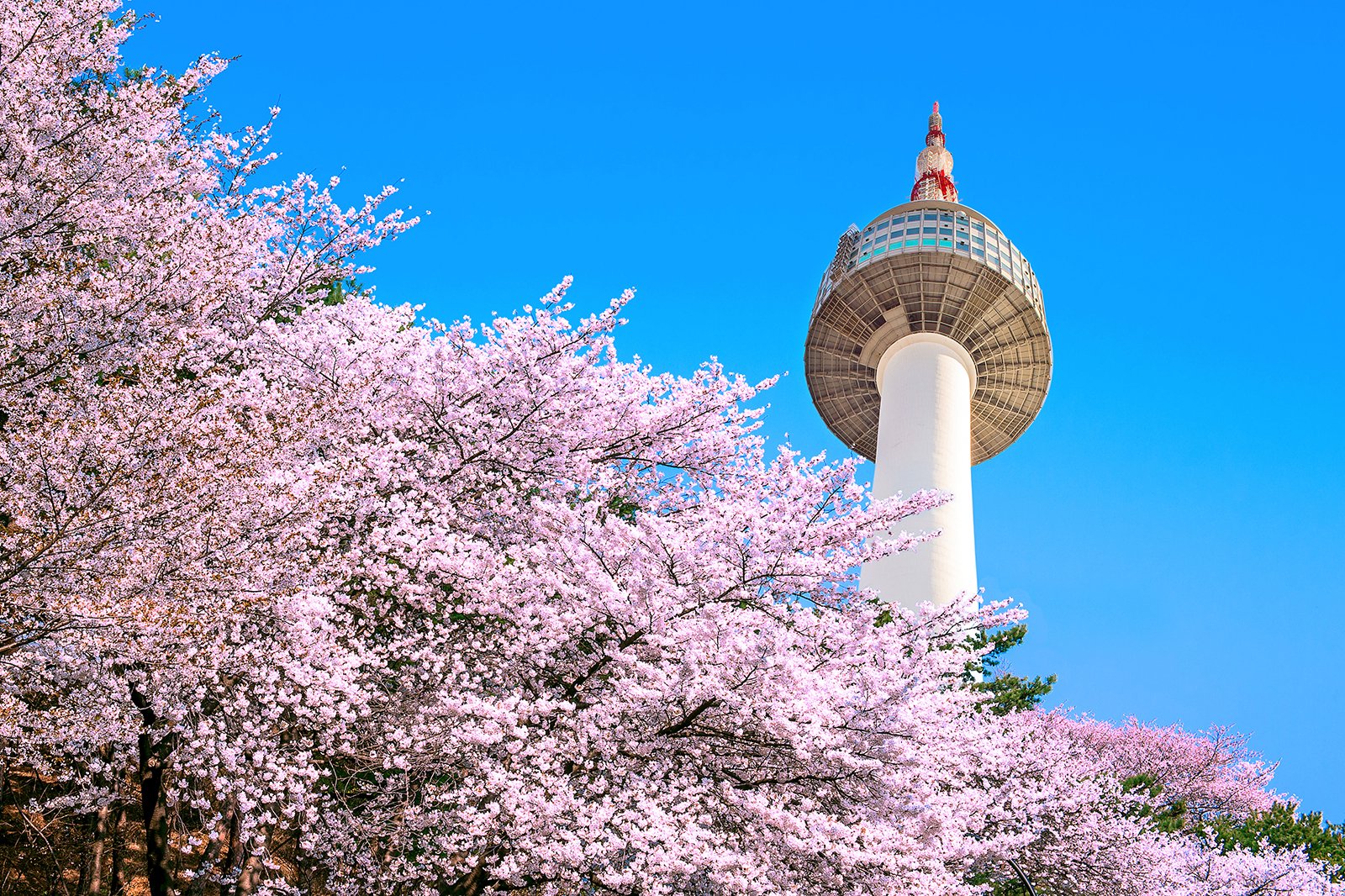 برج N سئول - N Seoul Tower