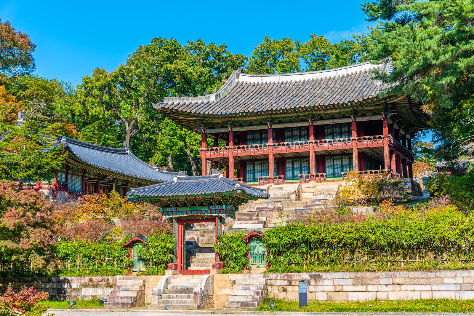 کاخ Changdeokgung - Changdeokgung Palace