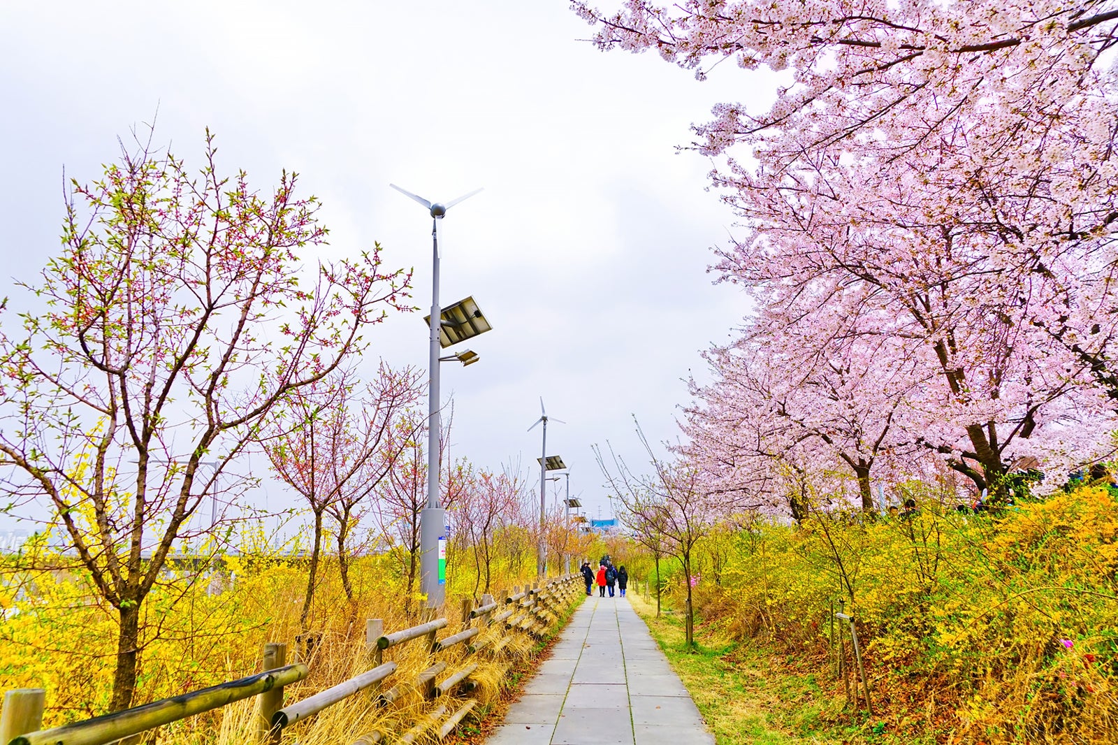 پارک Yeouido Hangang - Yeouido Hangang Park