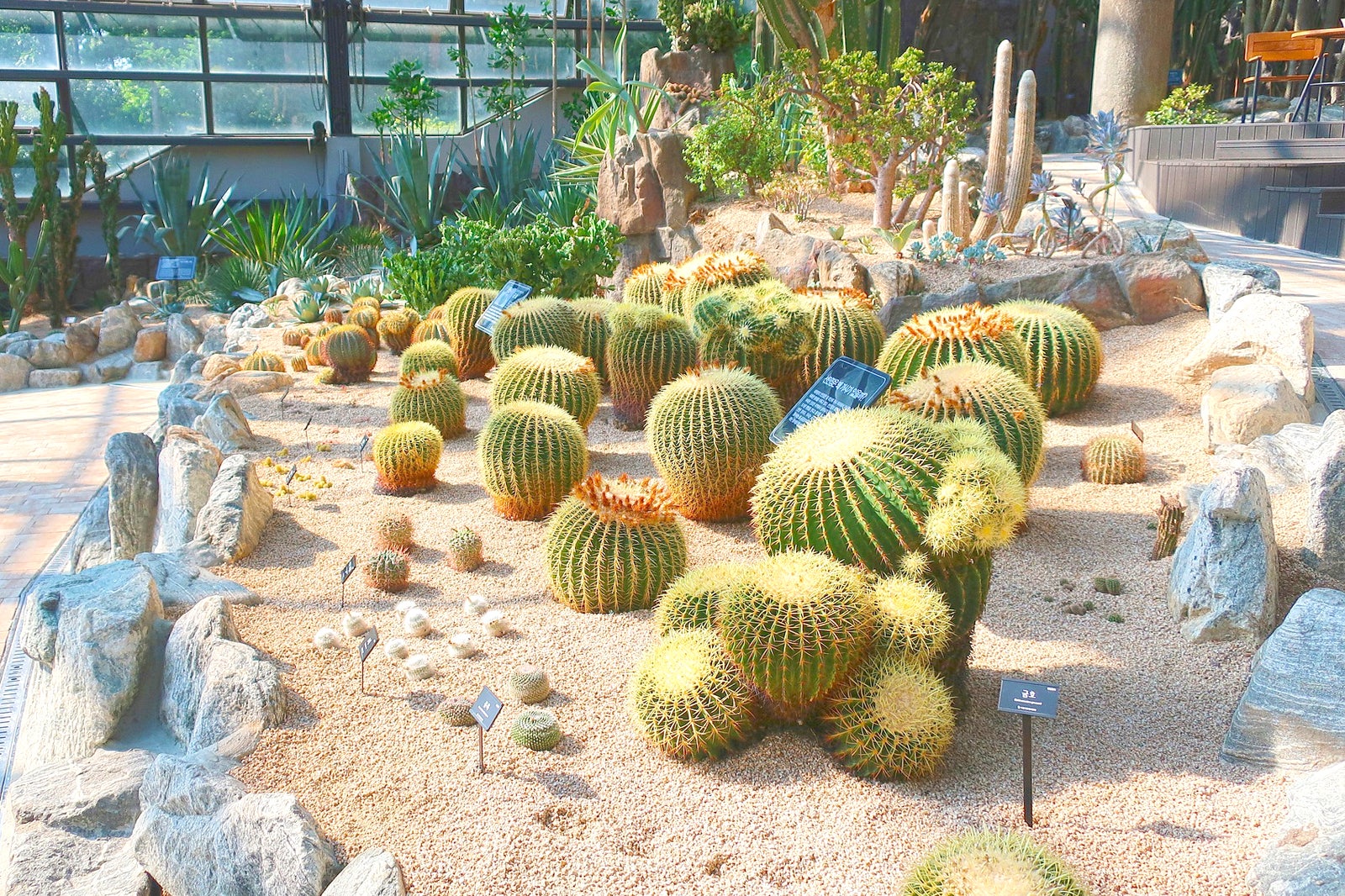 پارک گیاه شناسی سئول - Seoul Botanic Park