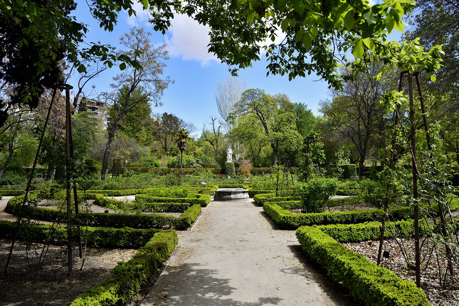 باغ گیاه شناسی سلطنتی مادرید - Royal Botanical Garden of Madrid