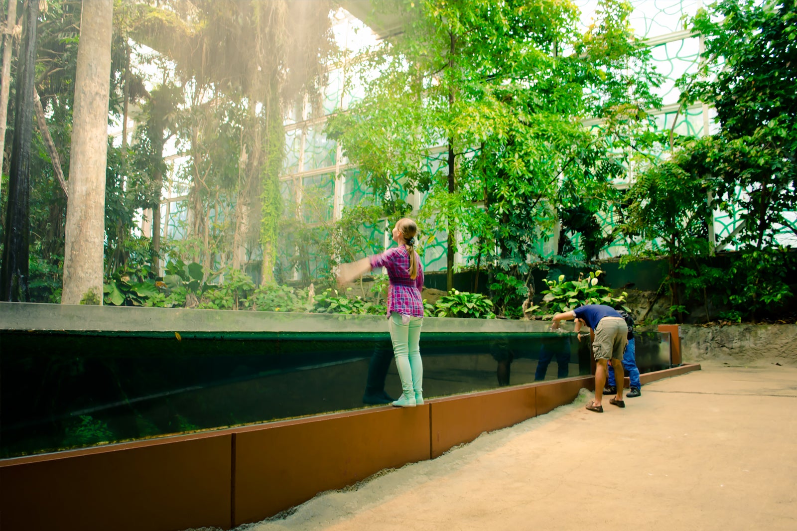 CosmoCaixa - CosmoCaixa