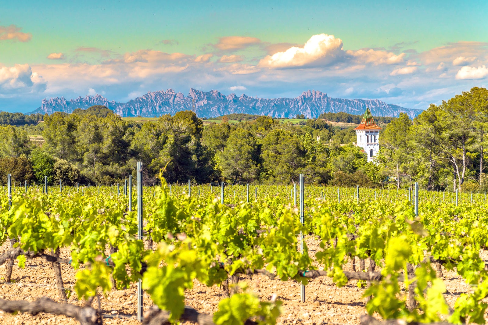 منطقه نوشابه پندس - Penedès wine region