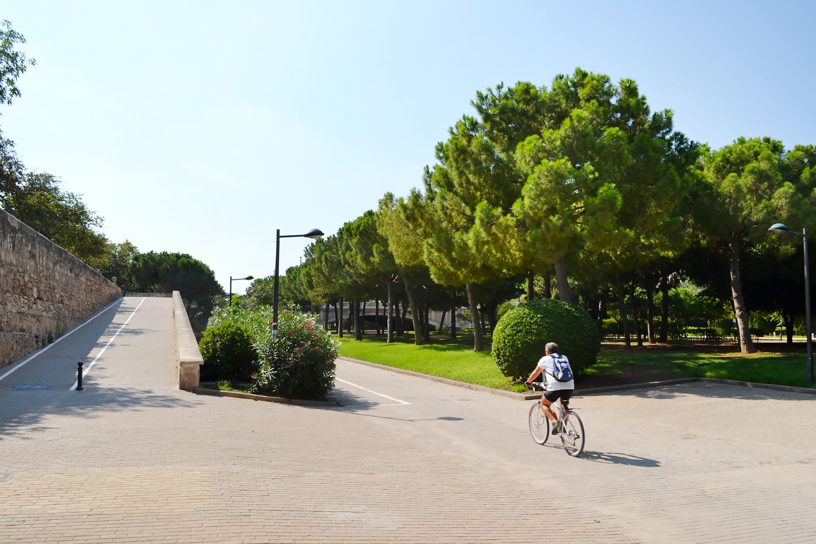 در پارک Jardín del Turia دوچرخه سواری کنید - Ride a bicycle through the Jardín del Turia park