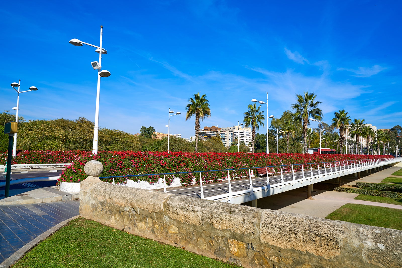 در پل های شهر گشتی بزنید - Take a tour of the city's bridges