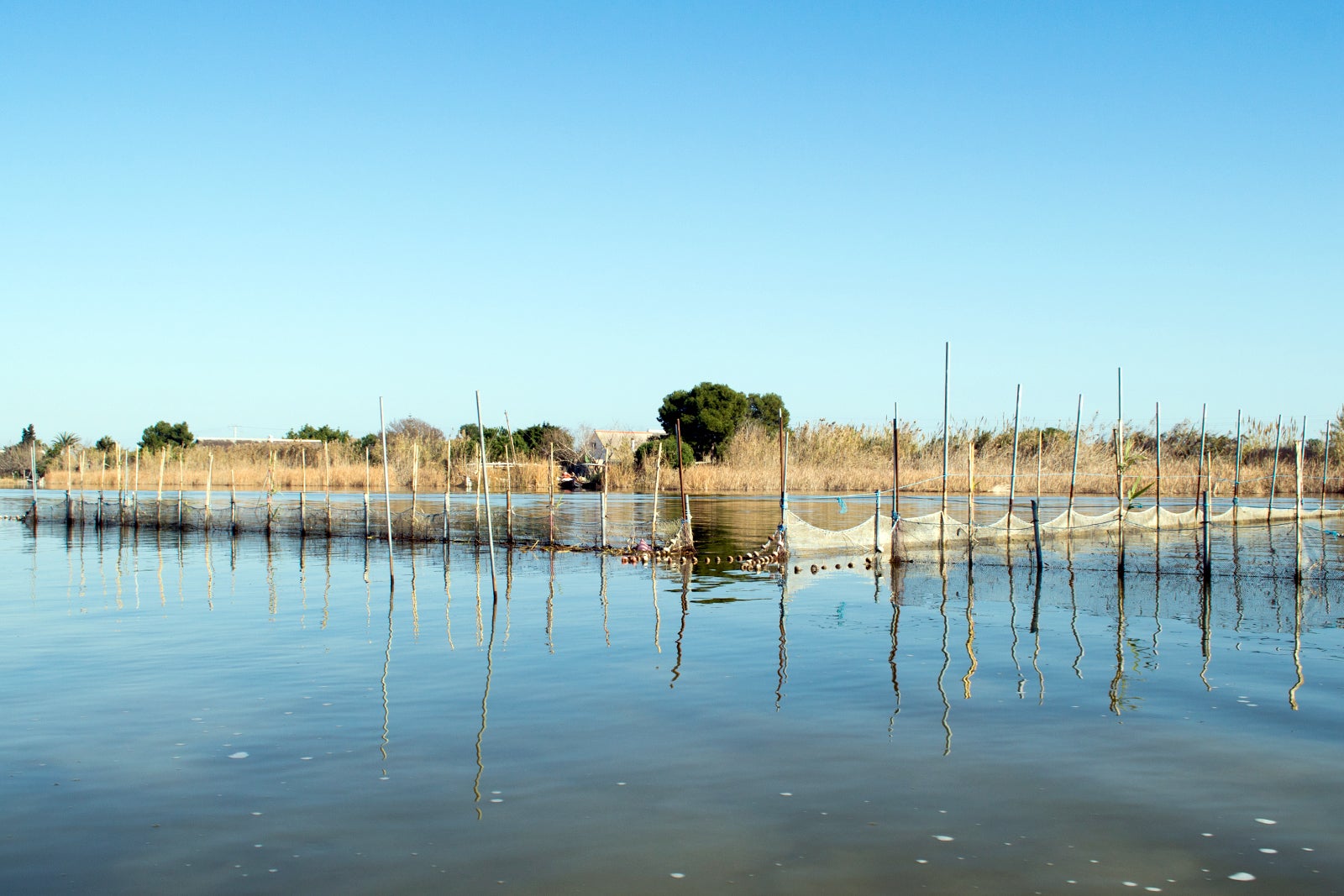 تماشای غروب سقوط بر فراز La Albufera - Watch evening fall over La Albufera