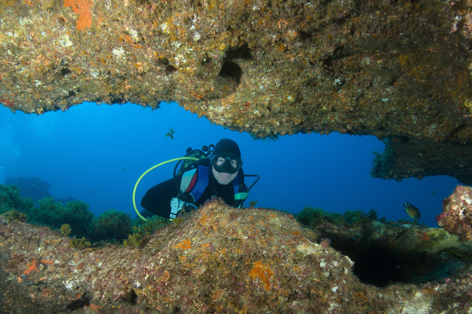 غواصی در Graciosa - Scuba diving in Graciosa