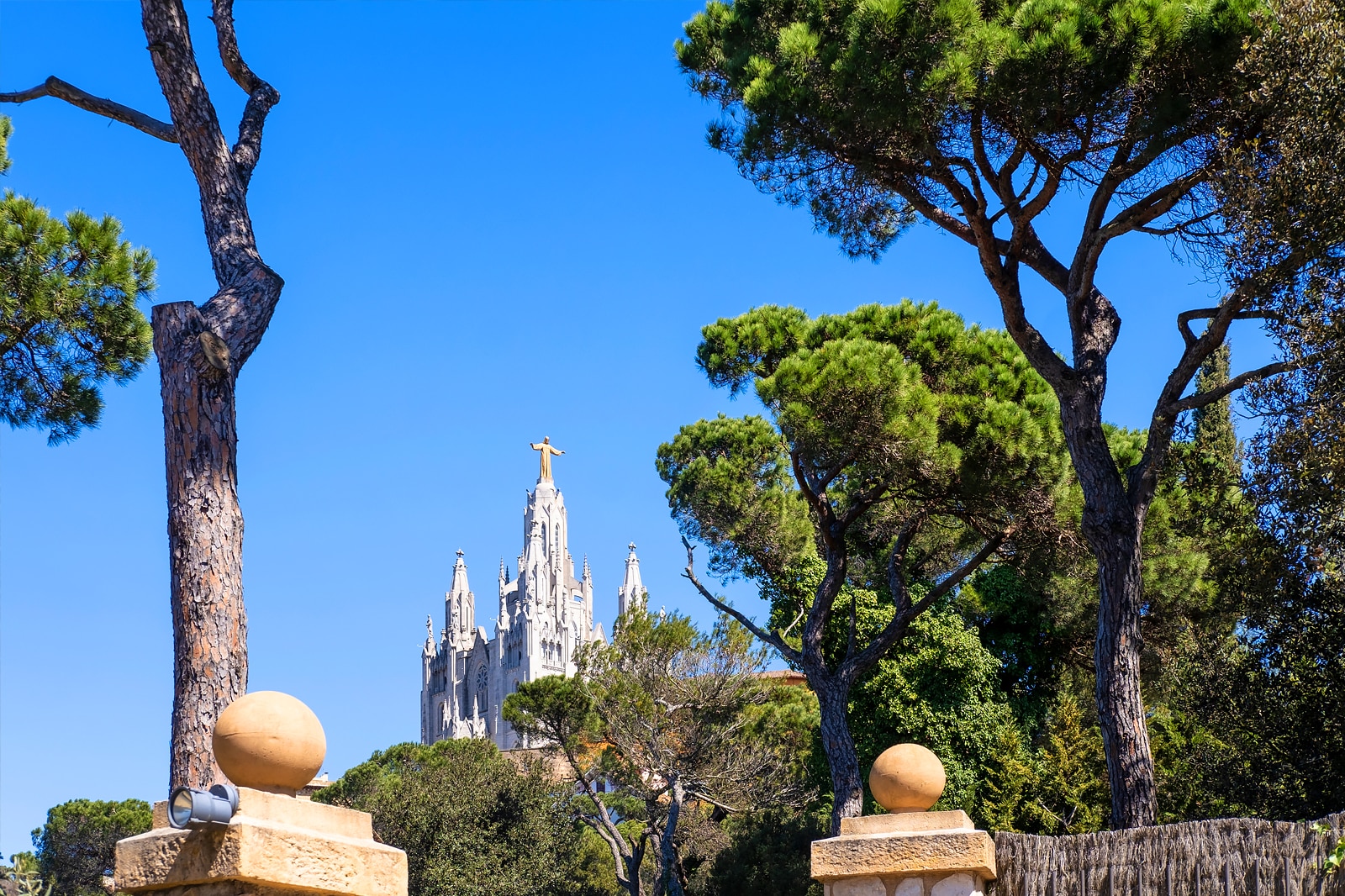 پارک کولسرولا - Collserola Park