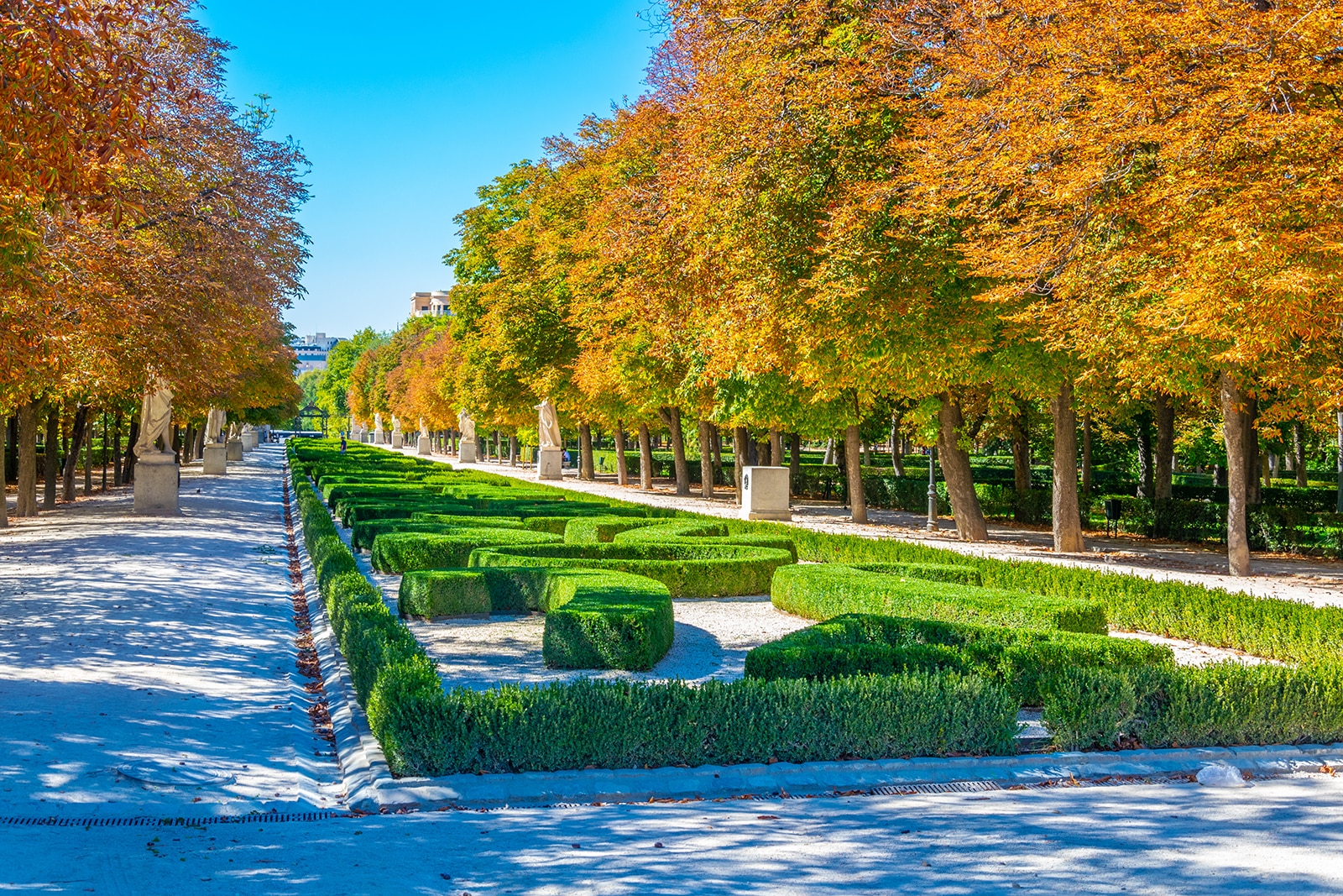 مادرید در شکوفه - Madrid in bloom