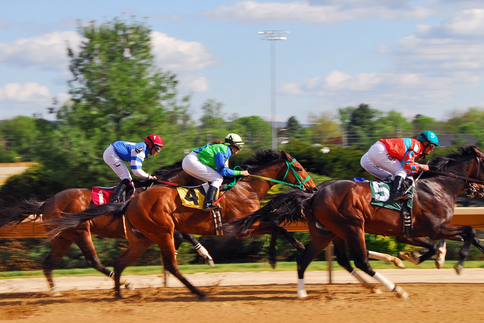 فصل بهار در مسابقات - Springtime at the races