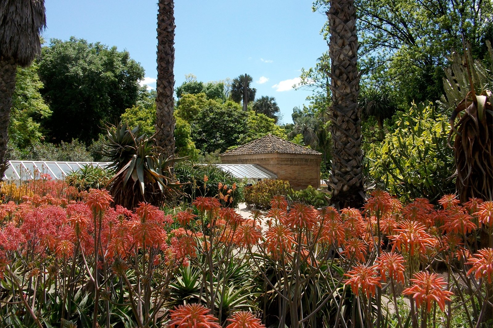 باغ های گیاه شناسی در حال شکوفه - Botanical gardens in bloom