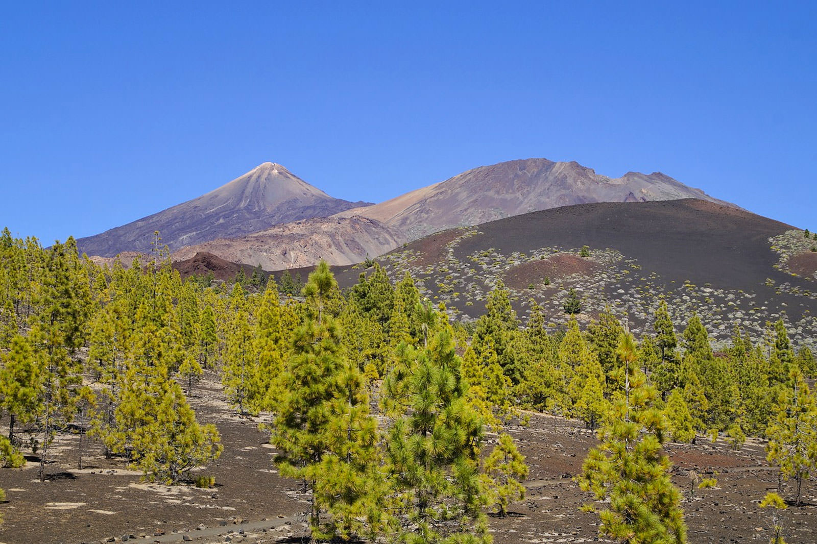 دیدگاه سامارا - Mirador de Sámara