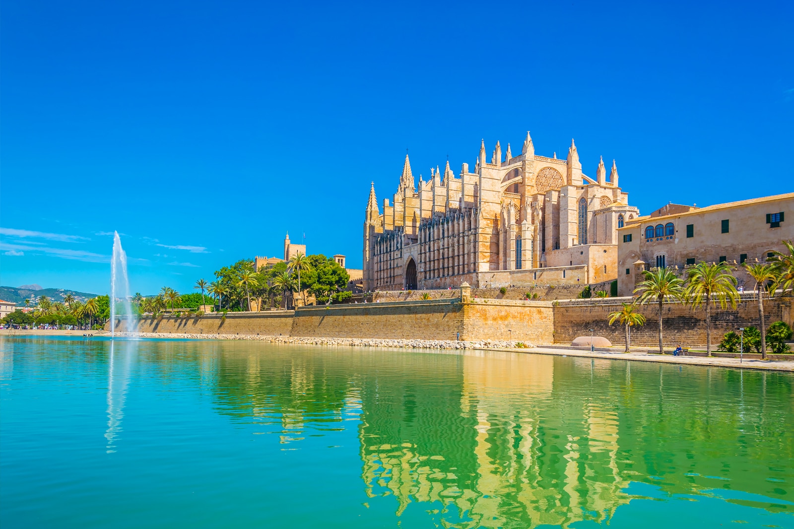 کلیسای جامع La Seu - La Seu Cathedral