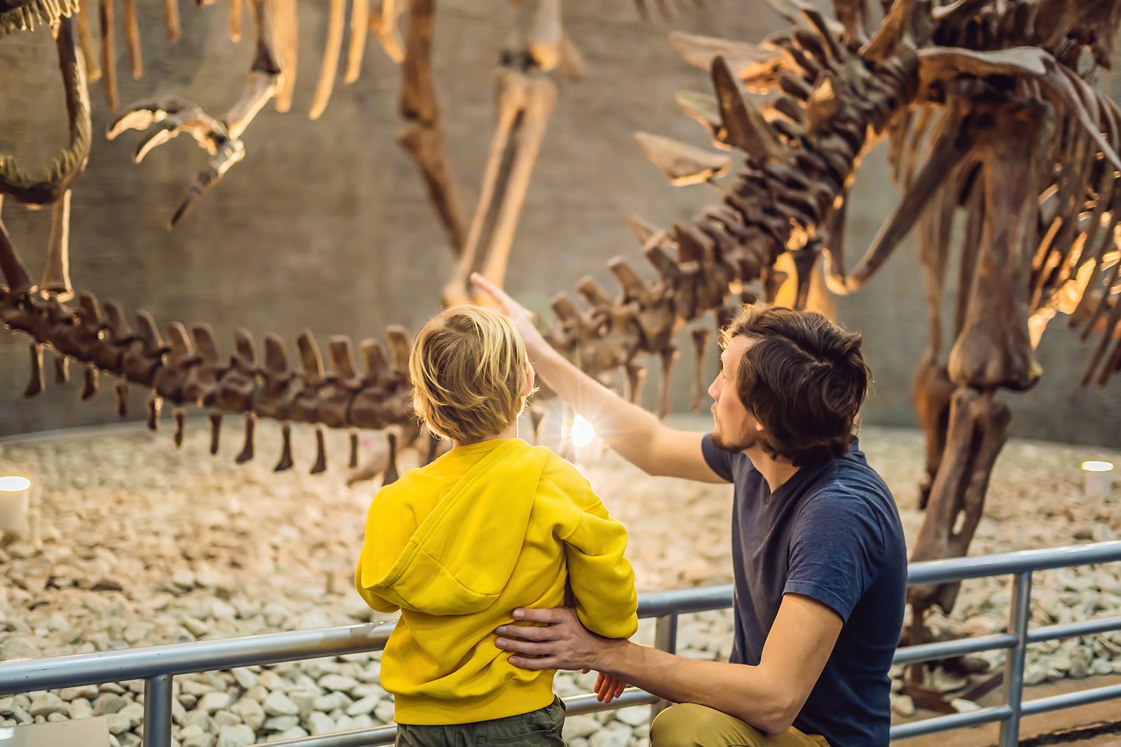 موزه ملی علوم طبیعی - National Museum of Natural Sciences