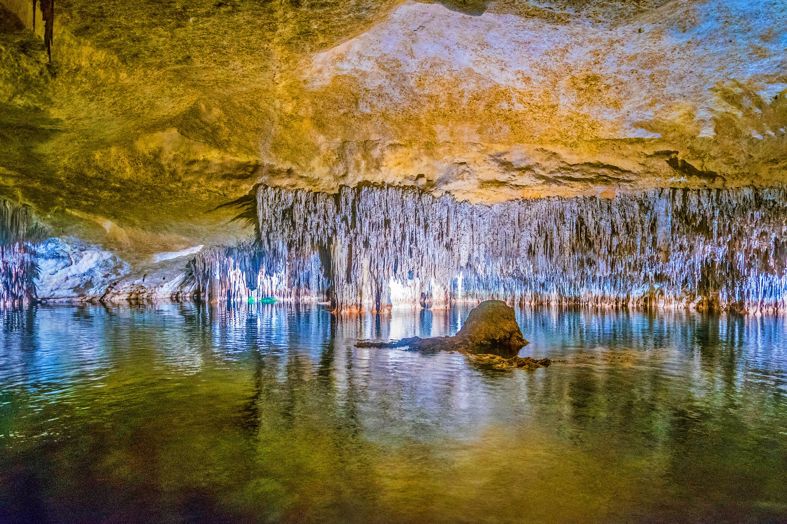 Coves del Drach  - Coves del Drach 