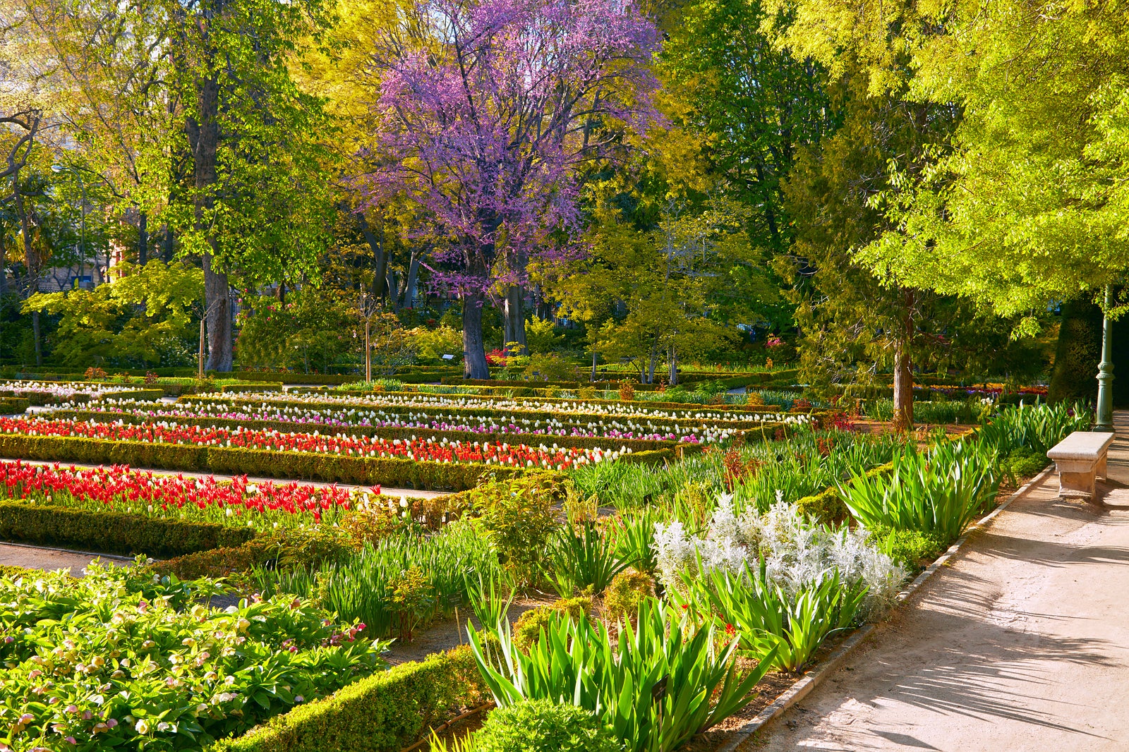 باغ گیاه شناسی سلطنتی مادرید - Real Jardín Botánico de Madrid