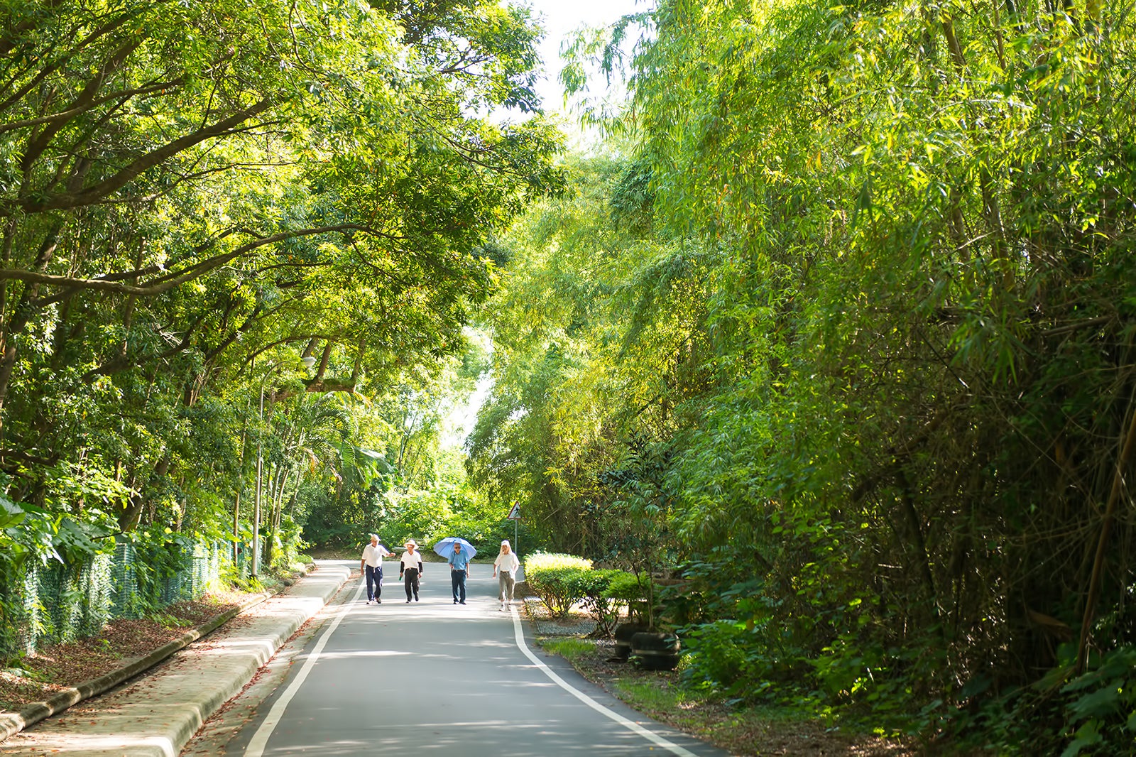 پارک کوهستانی میلون - Meilun Mountain Park