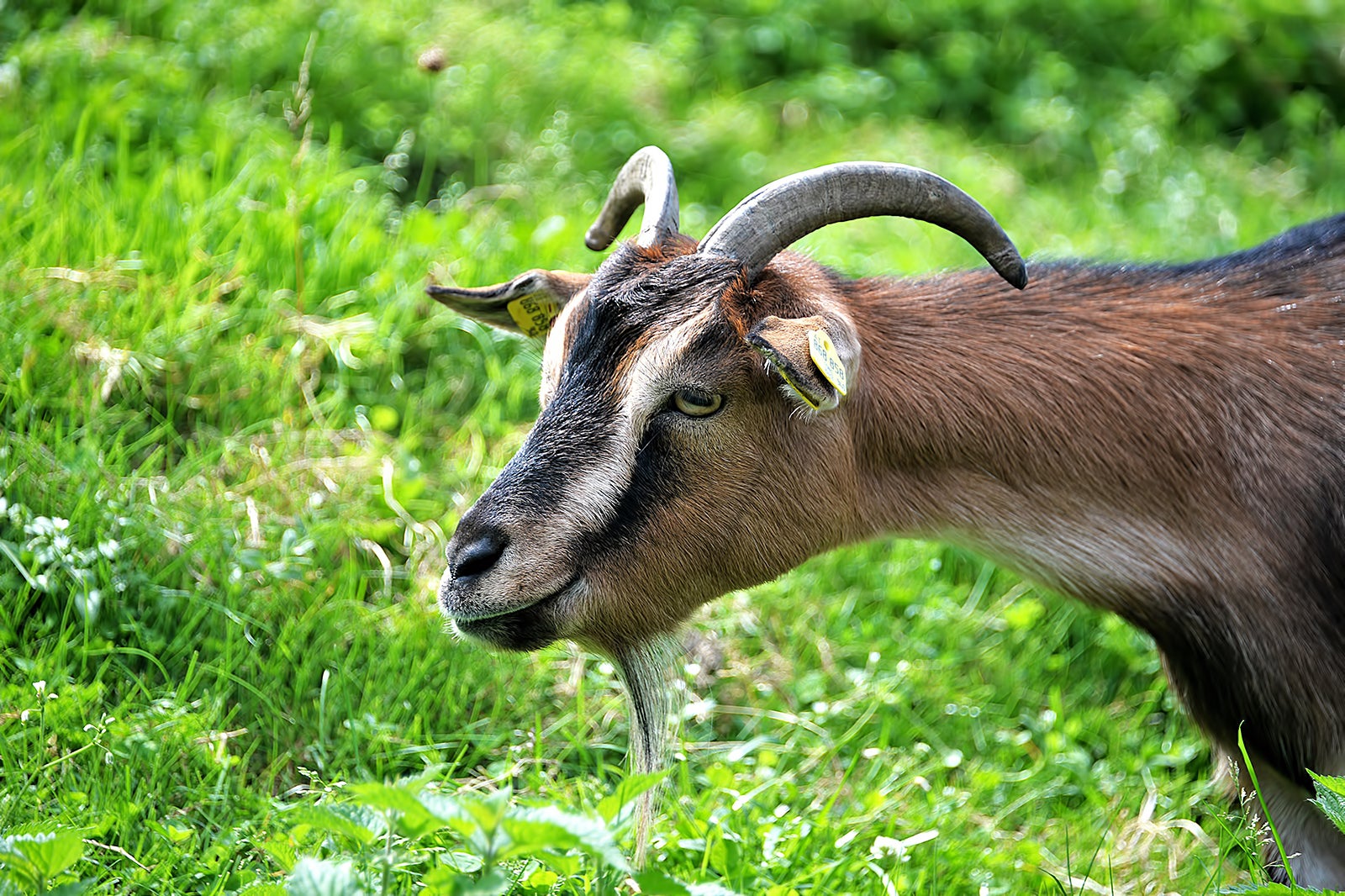 مزرعه تای کای شین - Tai Kai Xin Farm