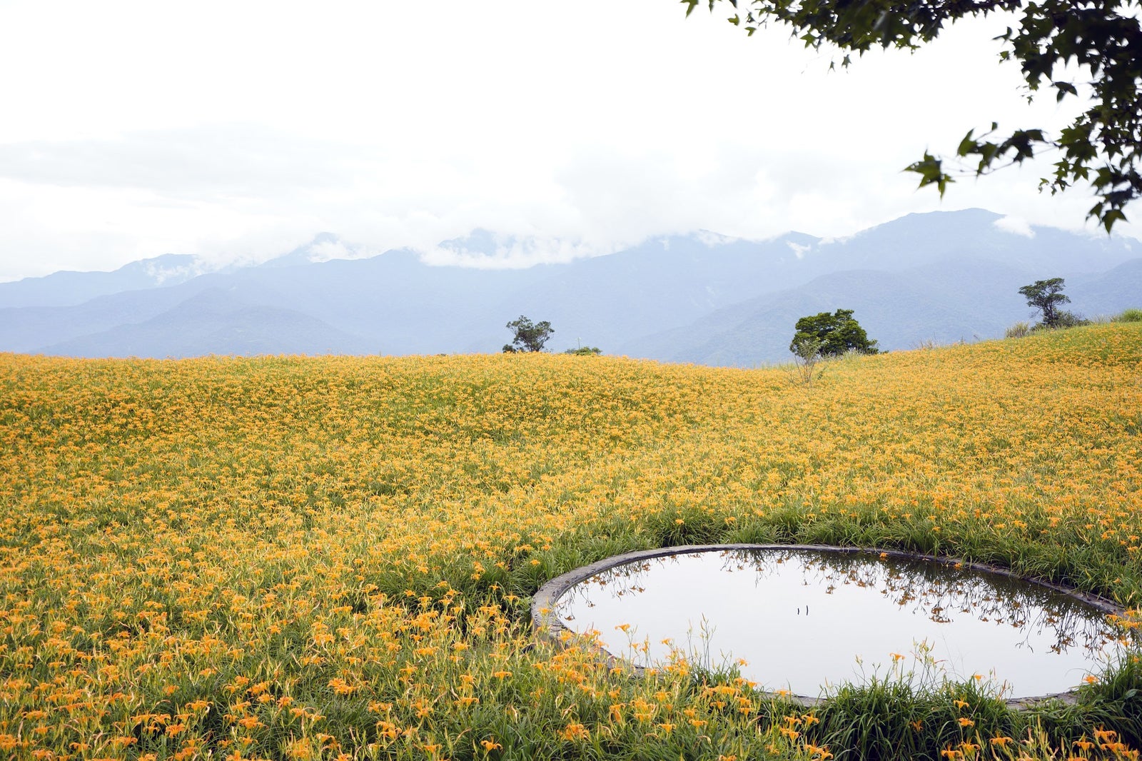 کوه لیوشیشی - Liushishi Mountain