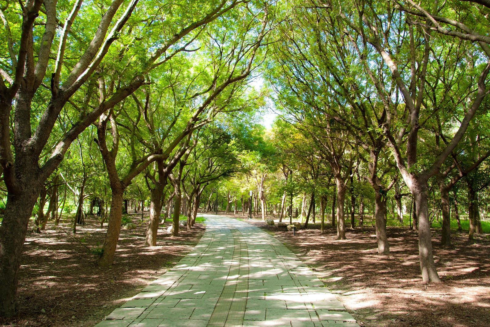 پارک متروپولیتن کائوسیونگ - Kaohsiung Metropolitan Park