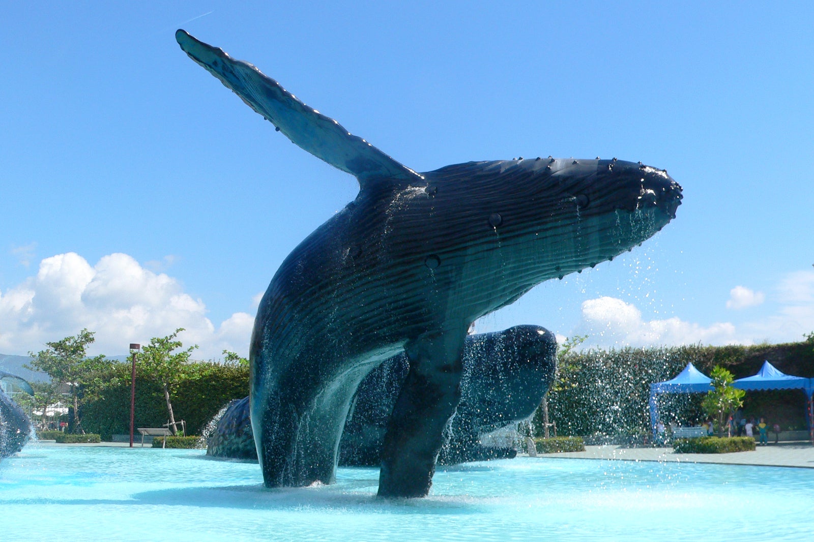 موزه ملی زیست شناسی دریایی و آکواریوم - National Museum of Marine Biology and Aquarium